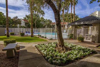 Professional landscaping